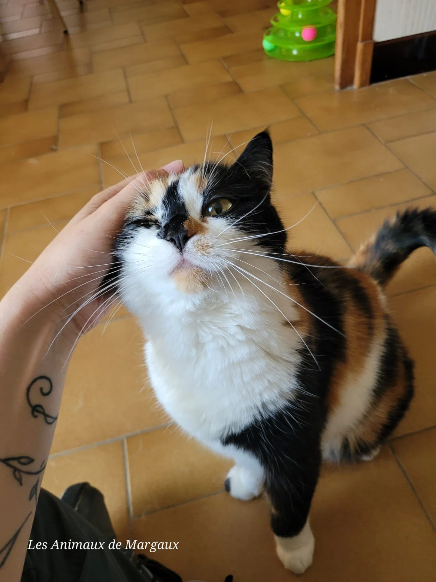 Ouna de Péronnas