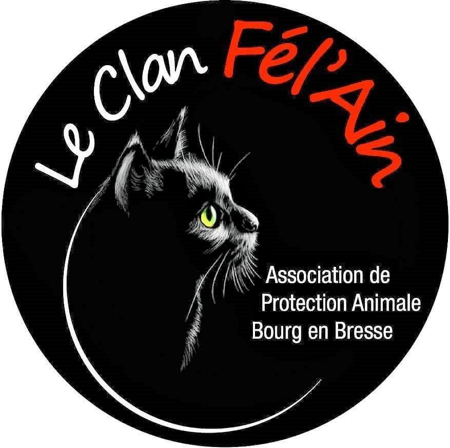 Logo clan felain 1